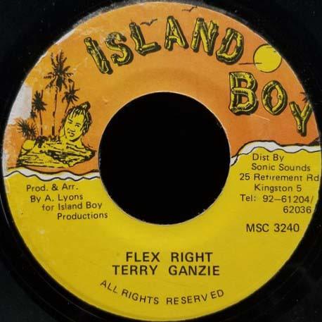 

7inch Record TERRY GANZIE Flex Right MSC3240 Island Boy Jamaica Reggae Ska Dub Used