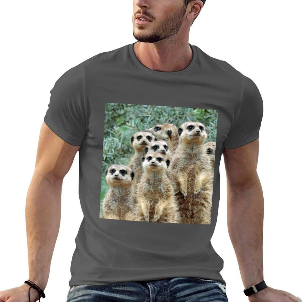 Meerkat 012 TShirt Plus Size NonShrink TShirt