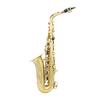 Brass Eb Alto Saxophone Sax Lacquered Gold Woodwind Instrument with Carry Case Gloves Cleaning Cloth Brush Sax Strap