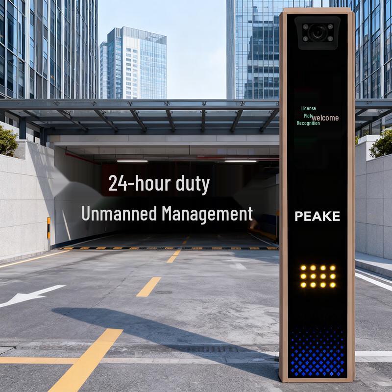 Pike Two-Line License Plate Recognition All-in-One Machine
