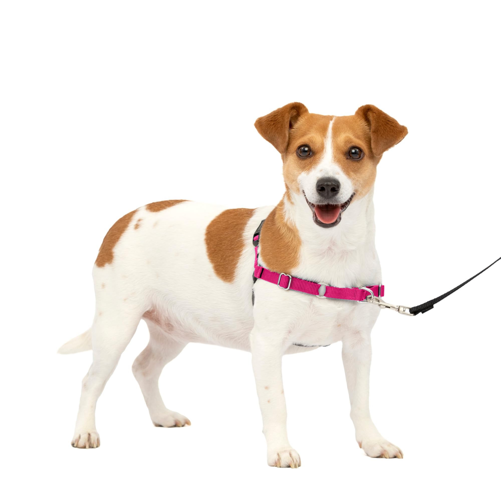

PetSafe Easy Walk Harness малиновый (С и Грей)