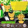 20/40Pcs Insect Traps Non-Toxic and Odorless Yellow Sticky Bug Traps Protect The Plant Sticky Board Traps for Garden Plants Kitchen