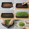 10 Pc Trays,Plant Tray, Seed Tray, Seedling Tray, Propagation Tray, Plant Trays For Seedlings, Planting Trays, Seedling Starter Tray(No Drain Holes)