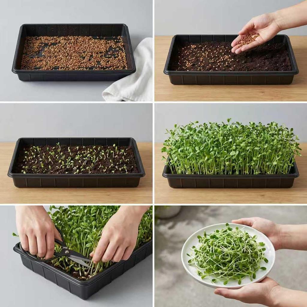 10 Pc Trays,Plant Tray, Seed Tray, Seedling Tray, Propagation Tray, Plant Trays For Seedlings, Planting Trays, Seedling Starter Tray(No Drain Holes)