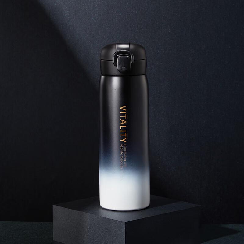 520ml Stainless Steel Insulated Direct Drink Bottle
