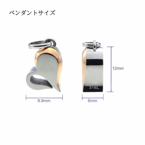 Jewel of Memory Cremation Pendant Necklace, Keepsake, Memorial Urn, Stainless Steel 316L, Men's and Women's, Includes Two Chains, Heart Shape