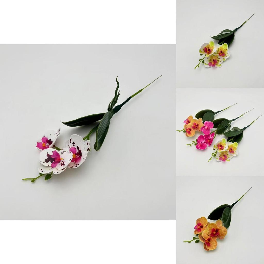 Phalaenopsis Artificial Orchid With 3d Printed Design For Outdoor Photography And Home Styling
