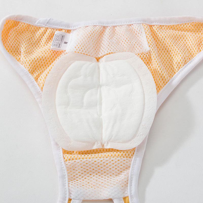 Pet pads dog physiological pants menstrual pants menstrual care pads sanitary napkins absorbent breathable diapers