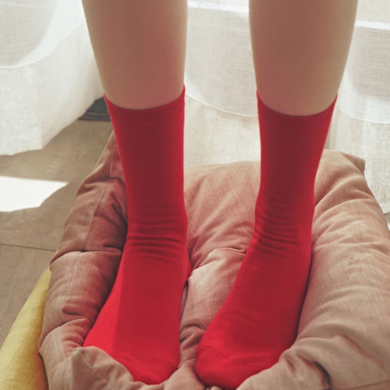 

Biarritz socks [5set] Jeje Daily Basic Socks 21 colors Gray 3