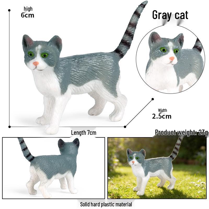 Solid Orange Persian, Ragdoll, Somali, and Blue Short-haired Cat Simulation Models