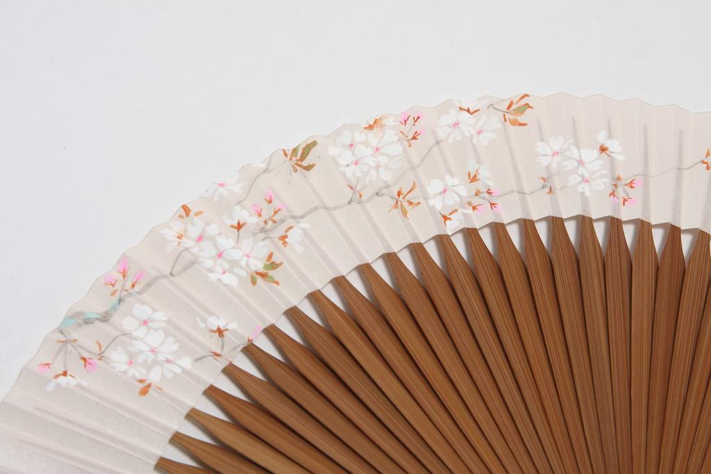 Fächer für mit Fächeretui und Präsentationsbox Kirsche [Hasegawa] Kyoto-Stil Frauen, handbemalt, (Bergblüte)