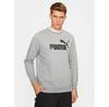 Puma Ess Big Logo Hoodie