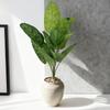 Traveler's Palm Faux Plant with Hanging Bell - Indoor Greenery & Landscape Decoration