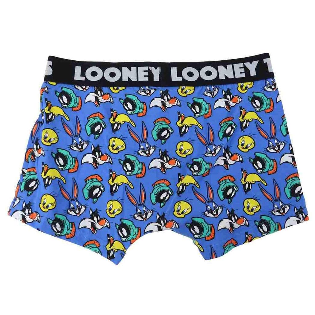 Small Planet Looney Tunes Boxer Briefs Friends M