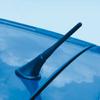 Foliatec-Antena de Coche Foliatec Sport (10,5 cm)