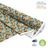 Outdoor Dekostoffe Oxford - Motiv Obst | Dx6551