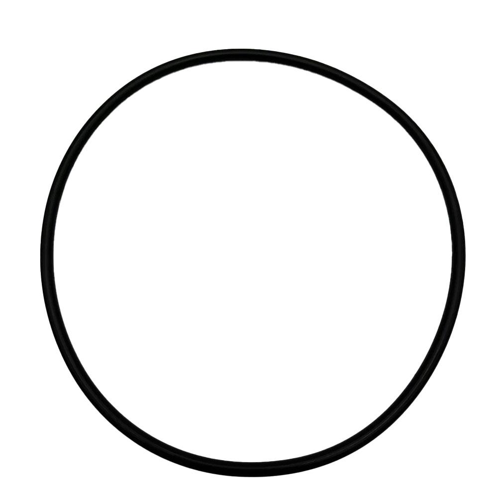 Easy Installation Black O-Rings Swimming Pool Maintenance 10*10*3cm Affordable O Ring Packaging Quick Replacement