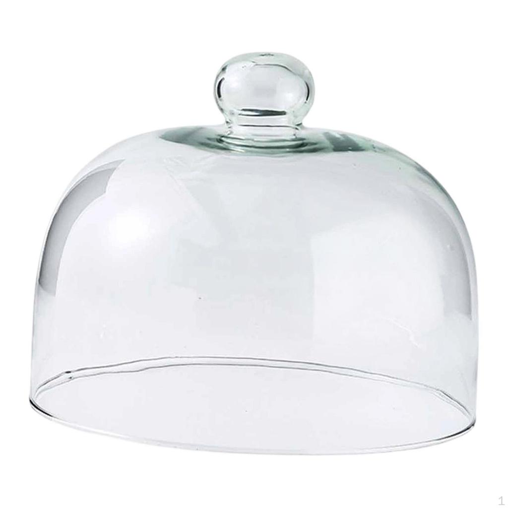 Cake Dome Display Cloche Lid for Dining Room Picnic