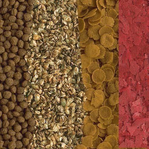 Tetra Goldfish Menu 250ml