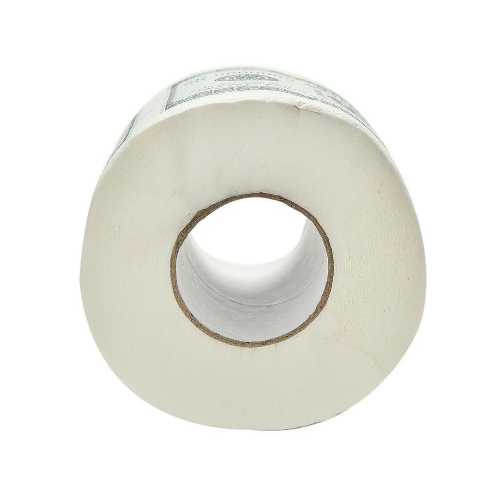 100,00 - Toilettenpapierrolle im Wert von 100 Dollar + 1 Million Dollar