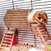 Small Animal Toy Guinea Pig Exercise Tunnel Pet Climb Explore Hamster Hiding House  Rabbit