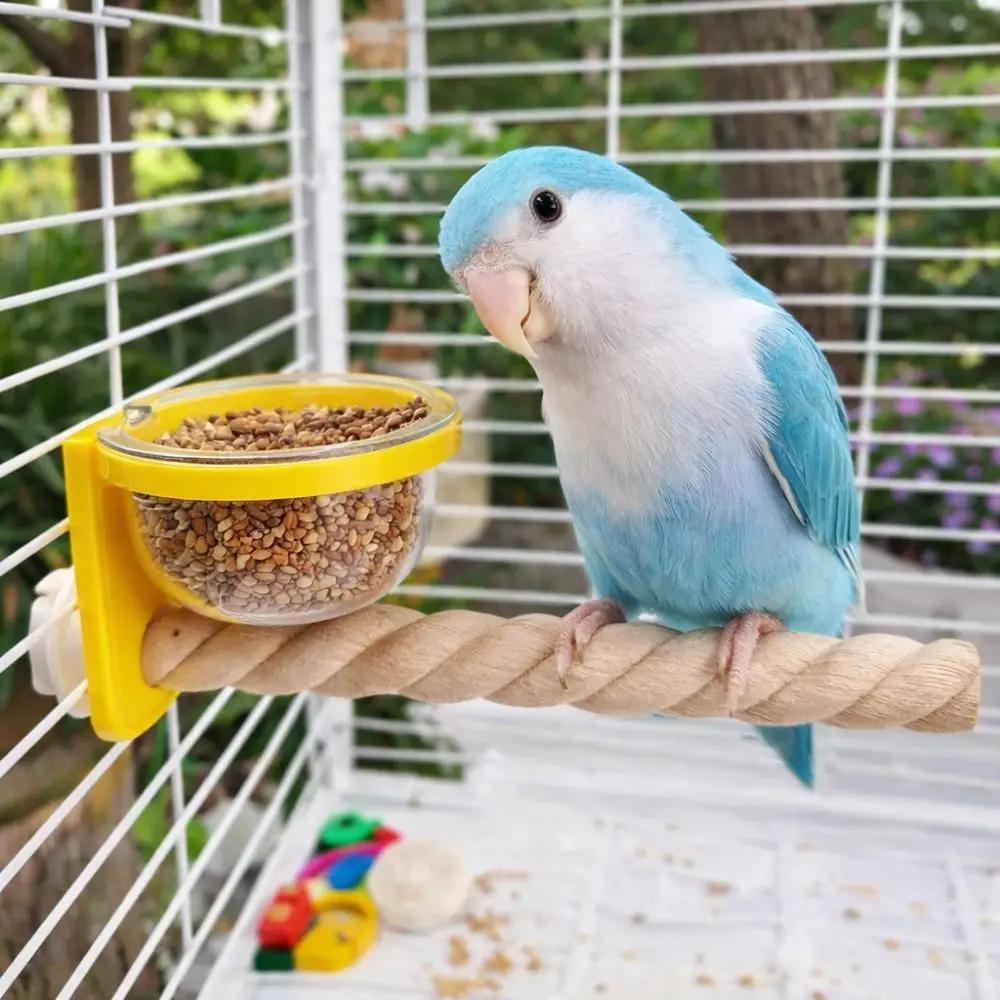 Wear-resistant Bird Cage Feeder Interactive Non-slip Bird Feeding Cup Paw Grinding Bird Perch Stand Pet Bird Supplies