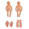 Modelo de Prática de Massagem para Bebês Com Pontos de Acupuntura Modelo Realista de Anatomia de Bebê Para Treinamento de Massagem e Cuidados Domésticos