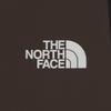The North Face Men S Pacer pantS Brw