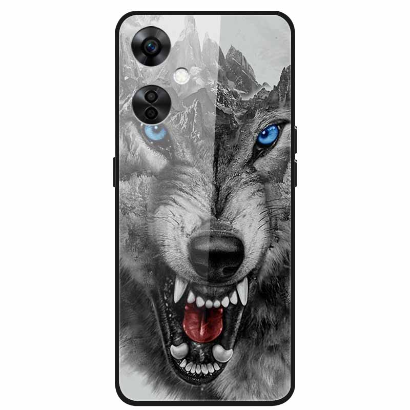 For One Plus Nord CE 3 Lite 5G Case N30 Tempered Glass Hard Back Cover for Oneplus Nord CE3 Lite N 30 Cases Bumper 3lite CE3Lite