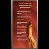 PNBG (PoongyunBogam) - Korean Red Ginseng All Day Good Time Gold (Red Ginseng Stick)