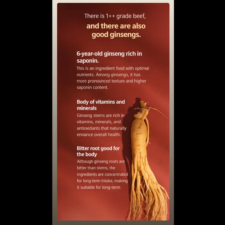 PNBG (PoongyunBogam) - Korean Red Ginseng All Day Good Time Gold (Red Ginseng Stick)