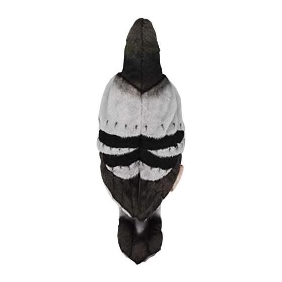 BH6299 HANSA pombo 29