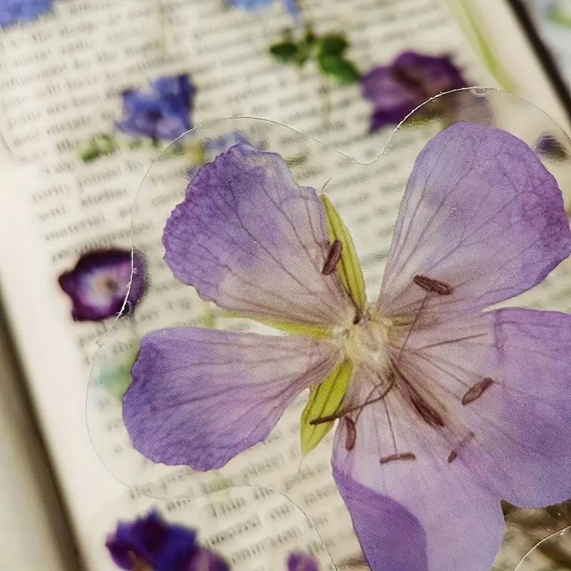 40pcs Plant Flower Leaf Decorative Sticker PET Hand Account Material Sticker Pack for Scrapbook Label Diary Stationery Album Tel