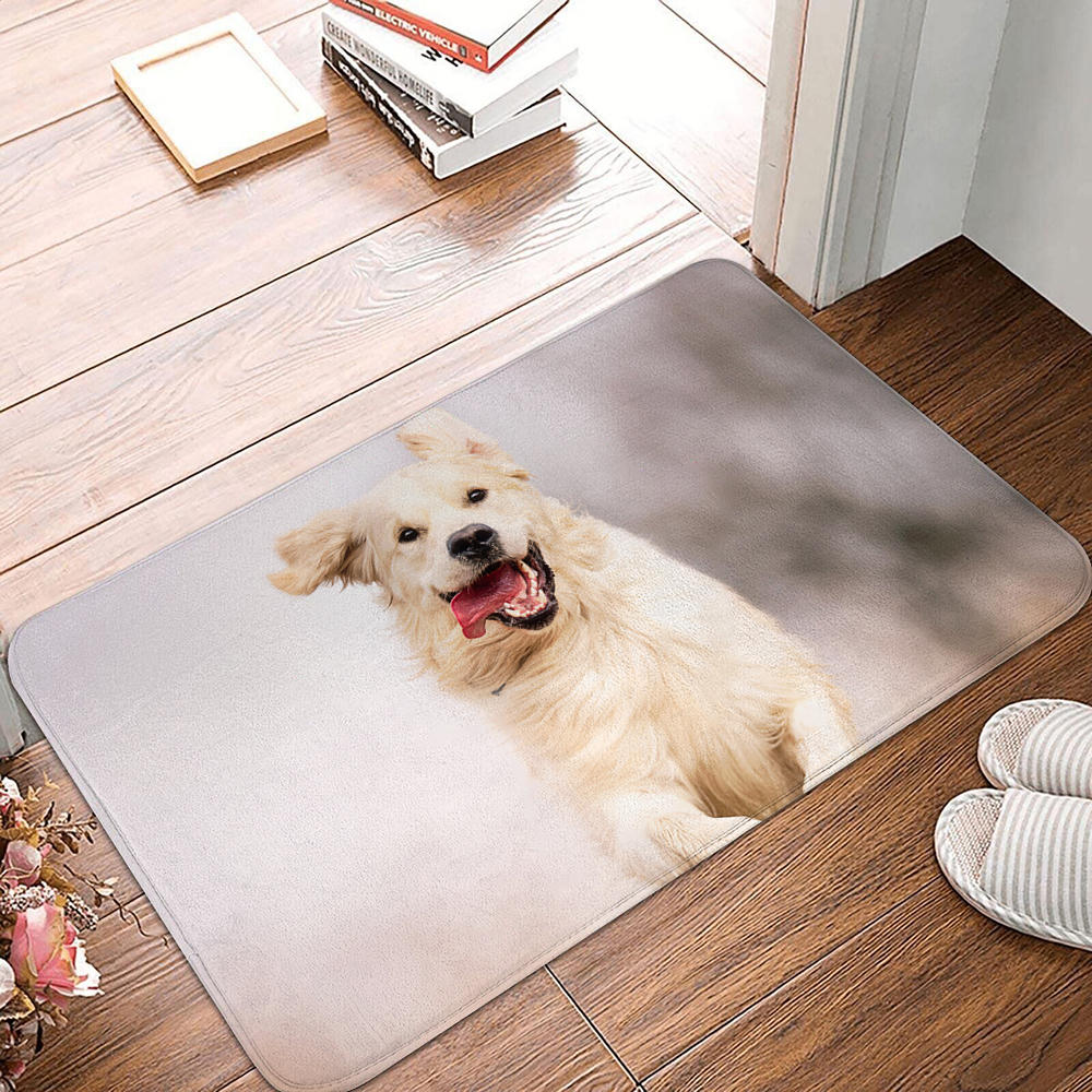 Non-slip Soft Rug Washable Living Room Bedroom Cute Dog Pattern Entrance Door Mat Floor Mat