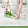 Clear Plastic Fridge Herb Storage Container Bpa Free Fresh Keeping For Storing Cilantro Scallions Vegetables Home Kitchen