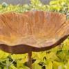 Rusty Flower Bird Bath Garden Stake Outdoor Bird Feeder with Stake Metal Flower Yard Art Stake Water Feeder for Birds Bees Butterflies