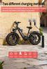Nathaniel SYR08 Stadtelektrofahrrad, Doppelmotor 2000W, 20x4.0 integrierte Räder, 48V20AH, Schnee-/Sand-Outdoor-Fahrrad