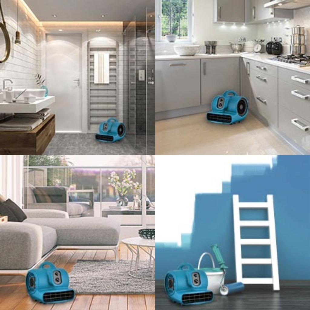 Vloerblazer XPOWER Luchtverplaatser Tapijtdroger 350W Ventilator met Timer & Grapefruit geurparels P-450T