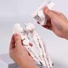 Realistic Human Foot Bone Model Teaching Aids For Enhanced Learning In Anatomy Classes And Clinical Skeletal Detail