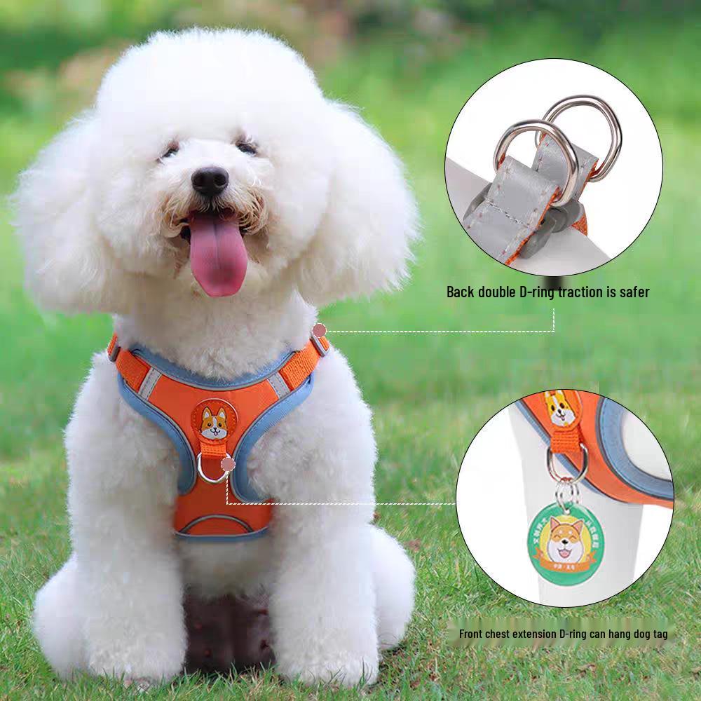 Reflective Adjustable Dog Harness and Leash Set for Small Breeds - Breathable Vest Style