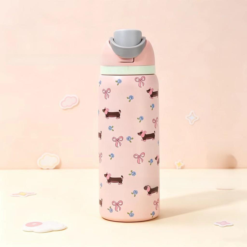Owala Fruits Style Stainless Steel Travel Water Bottle For Office And Outdoors