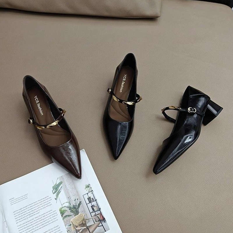 French brown pointed thick heel single shoes women's spring and autumn new retro metal one-word with light mouth Mary Jane shoes