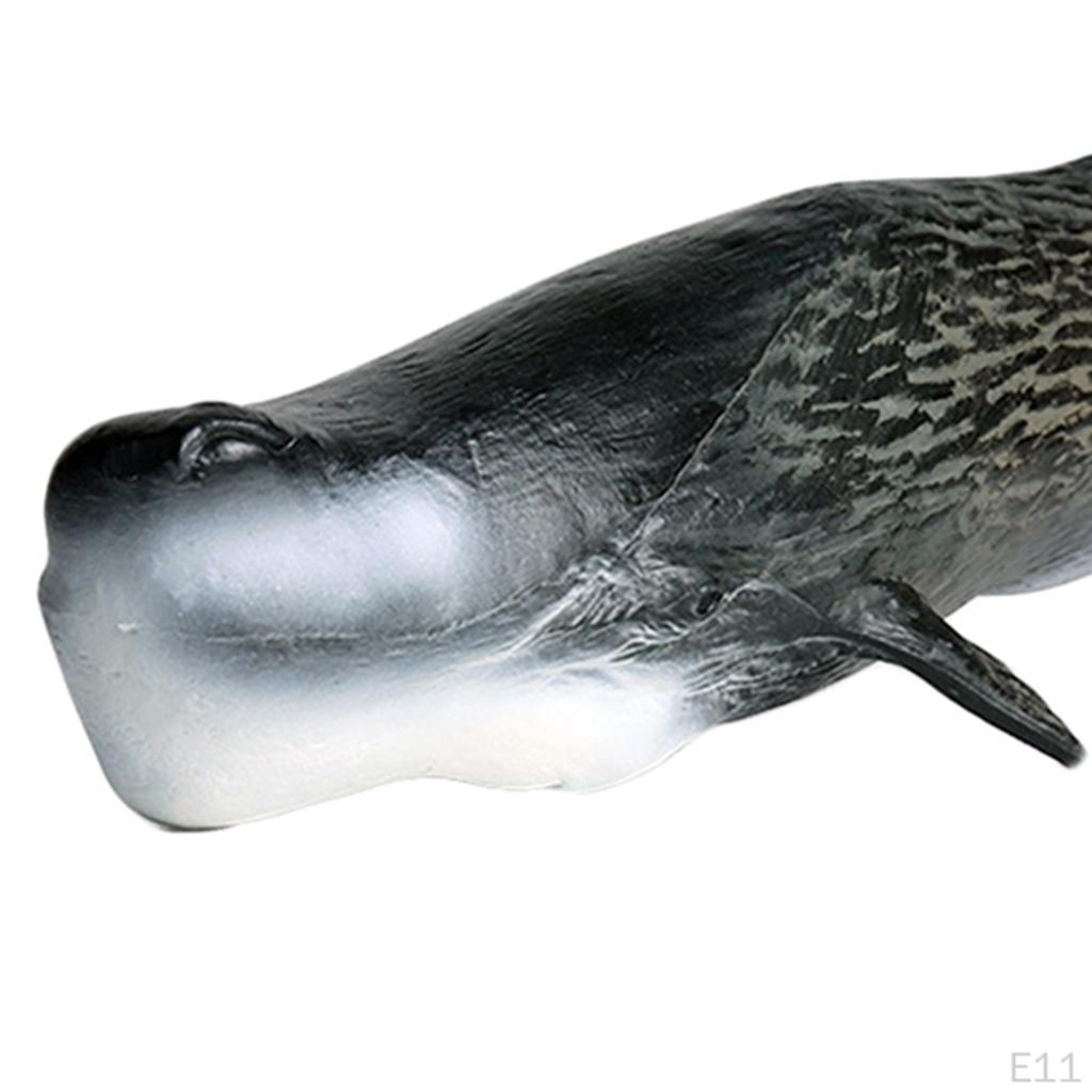 Action Figures Hand-Painted Creature Shark Sea Life Marine Toys Decorative Gifts for Kids