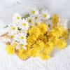 Daisy & Chrysanthemum Artificial Flower Bouquet: 5-Head Chamomile for Wedding, Home, Photography Decor