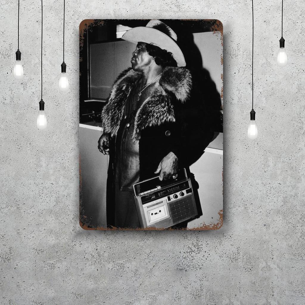 James Brown Metal Signs Wall Decor Vintage Tin Signs Captain Metal Poster Decor for Bar Pub Club Wall Decoration