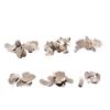 100Pcs Dental Matrix Sectional Contoured Metal Matrices No.1.398 Lmws 2 Rings
