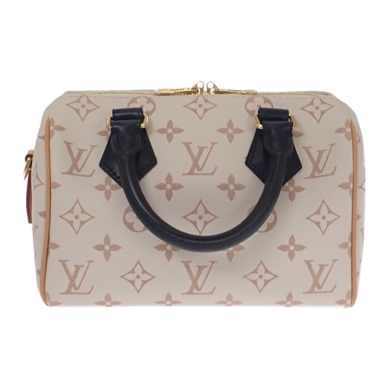 LOUIS VUITTON M46906 2WAY bag white/beige Women