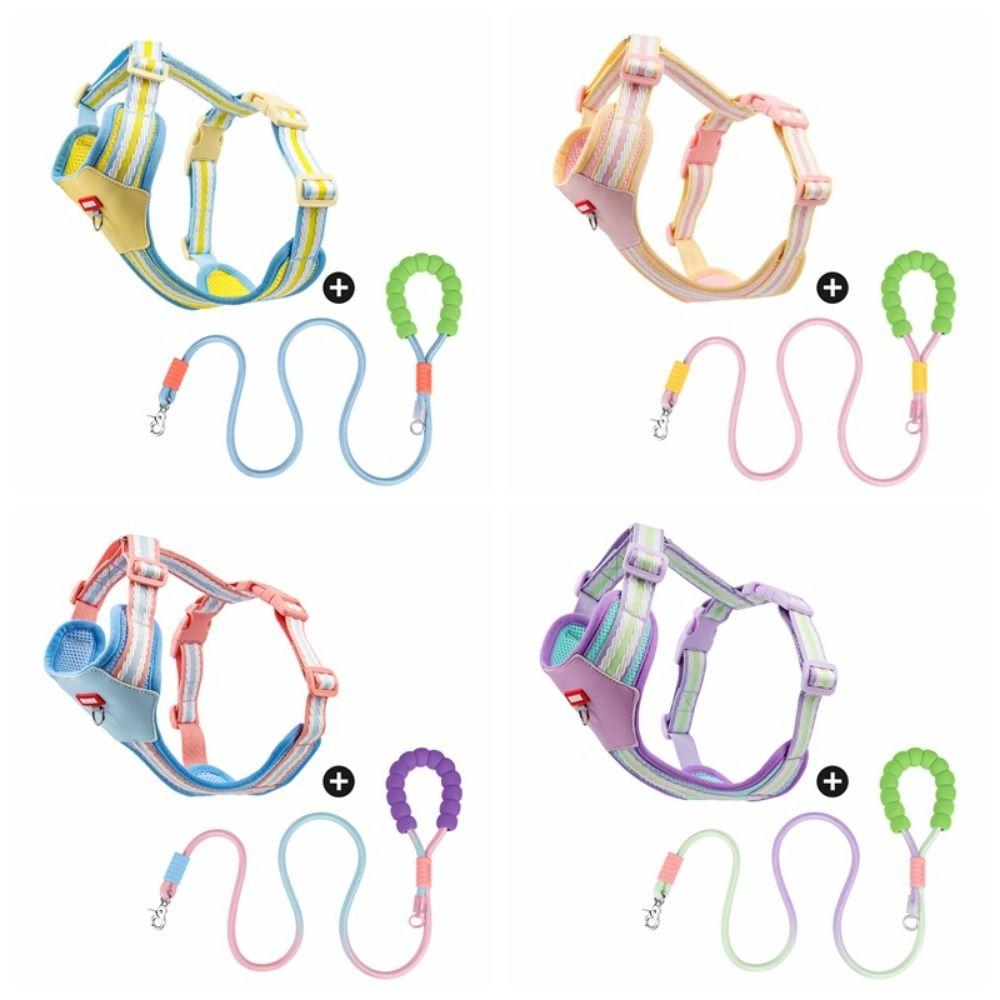 Adjustable Dog Harness and Leash Set Padded Dog Collars Leash Set Pet Walking Vest All Seasons