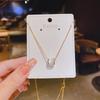 Slim Rose Gold Titanium Necklace - Elegant Autumn/Winter Women's Collarbone Pendant Sweater Chain.