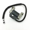 Ignition Module Coil Replaces For 492341 490586 491312 495859 591459